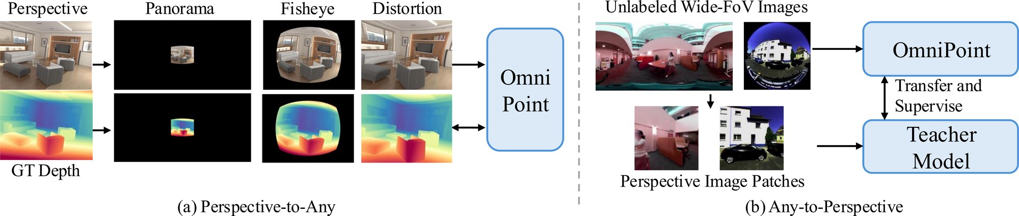 Bidirectional data augmentation: Perspective-to-Any synthesises fisheye and panoramic views from pinhole datasets; Any-to-Perspective pseudo-labels virtual pinhole crops of unlabelled wide field-of-view images.