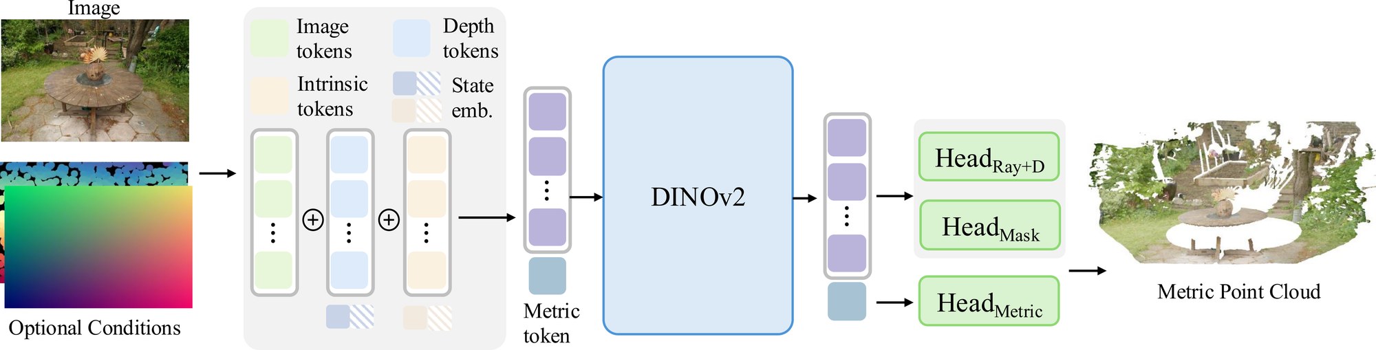 OmniPoint pipeline: image tokens plus optional intrinsic and sparse-depth tokens and learnable state embeddings enter a DINOv2 ViT-L; DPT heads predict ray and distance, a sky mask, and the global metric scale.